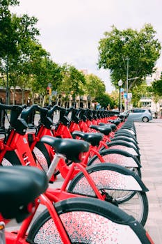 A long line of red rental bicycles parked outdoors under leafy trees in a city street.