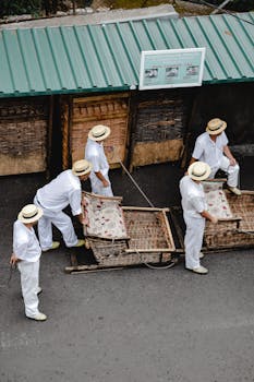 Monte sledge drivers in traditional attire preparing for the ride in Funchal, Madeira.